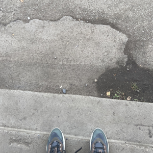 Тёмная линия — 113