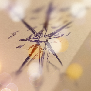 Тёмная линия — Дорога домой