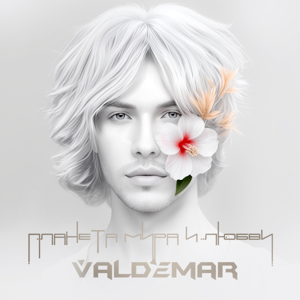 VALDEMAR — Планета мира и любви