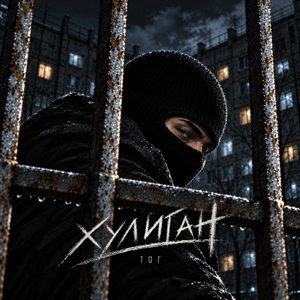 ТОГ — Хулиган